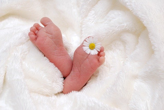 Stopy niemowlęcia owinięte w biały koc a między paluszkami ma białego kwiatka