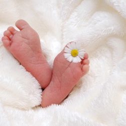 Stopy niemowlęcia owinięte w biały koc a między paluszkami ma białego kwiatka